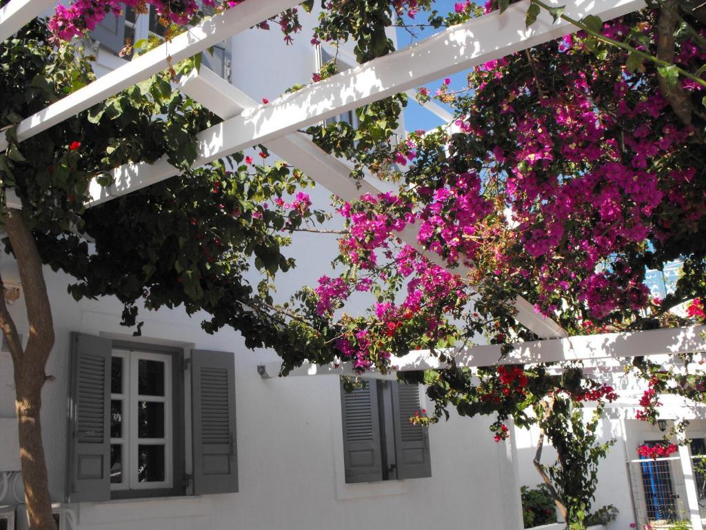 Milos Bay Suites Adamantas  Luaran gambar